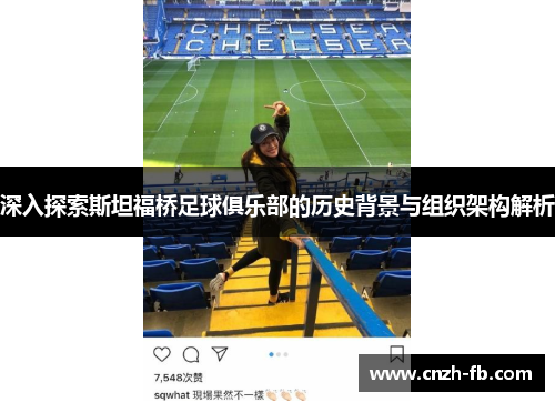 深入探索斯坦福桥足球俱乐部的历史背景与组织架构解析