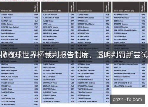 橄榄球世界杯裁判报告制度，透明判罚新尝试